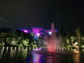 Amazing Singapour